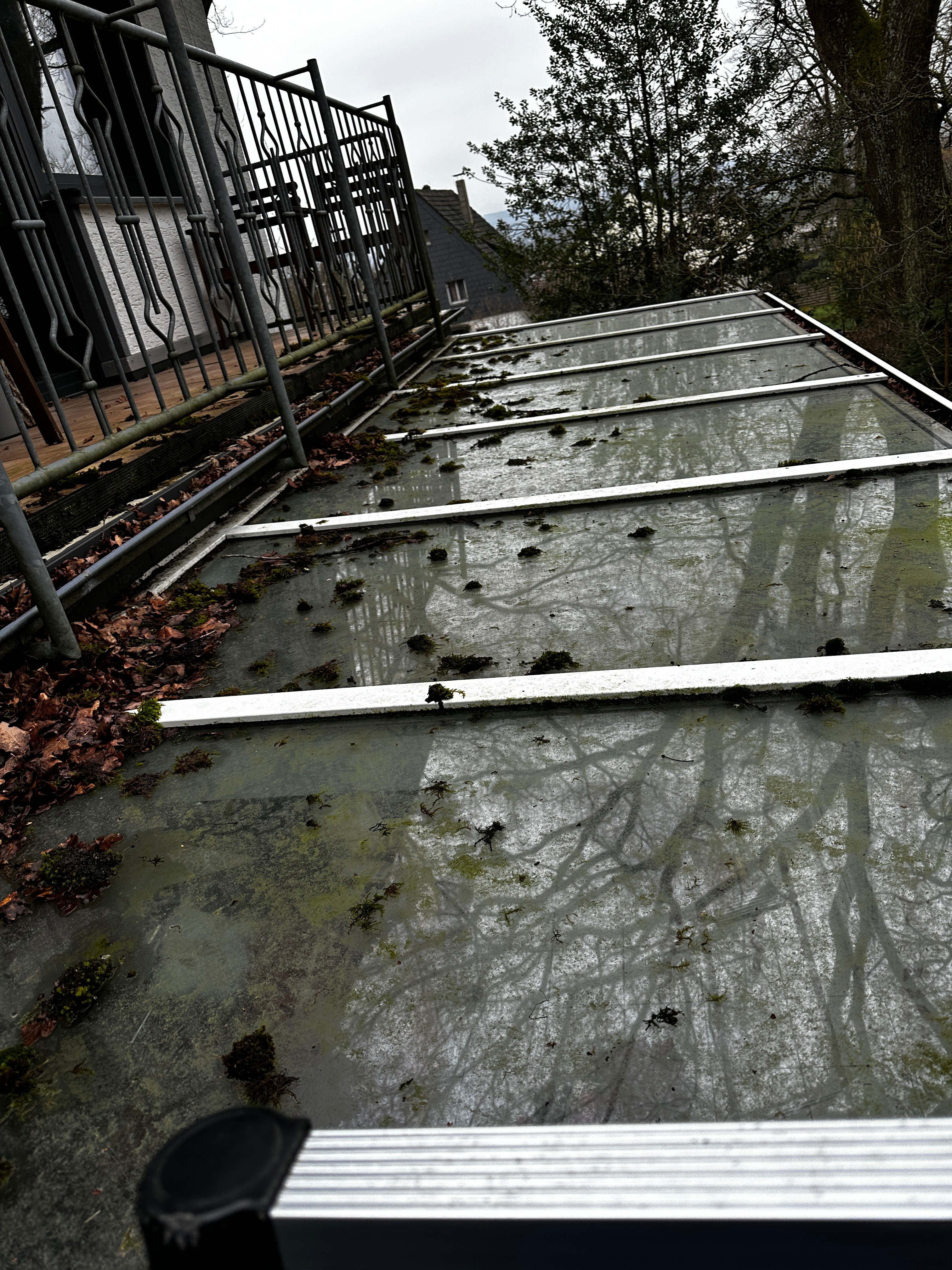 Vorher - Verschmutztes Glasdach